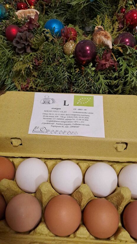 BIO mājas vistu olas L izmērs, 10 gab. kastītē
