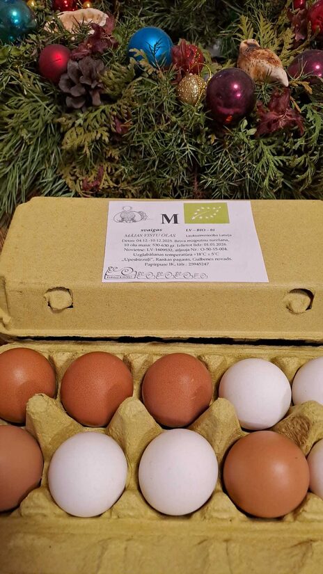 BIO mājas vistu olas M izmērs, 10 gab. kastītē