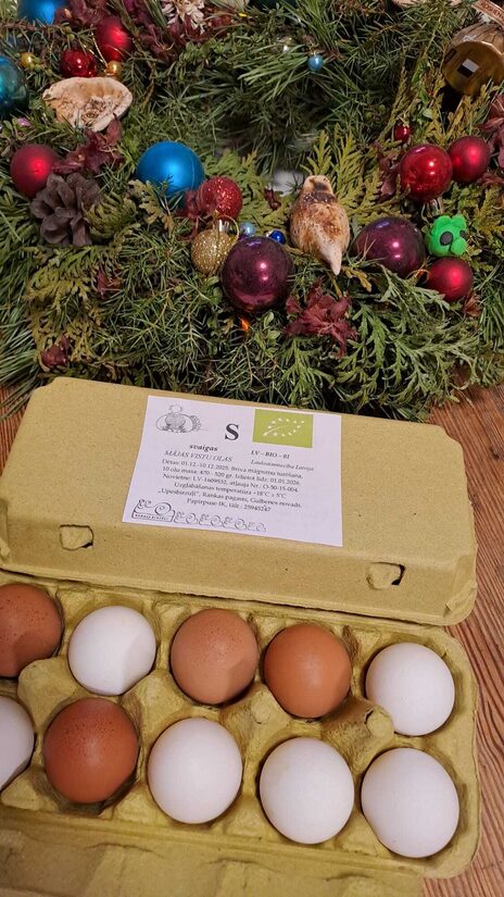 BIO mājas vistu olas S izmērs, 10 gab. kastītē