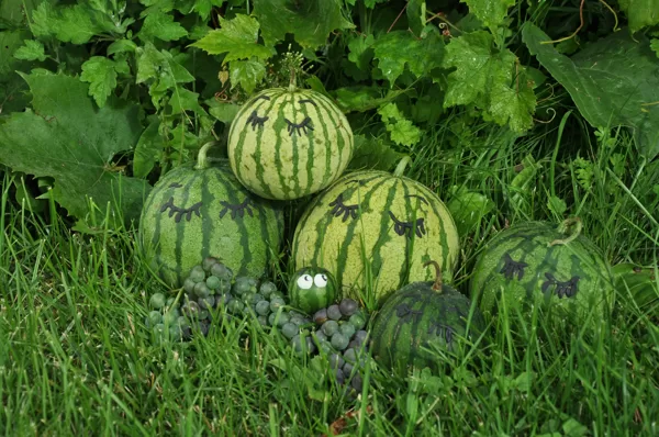Foto: Līga Jasmane