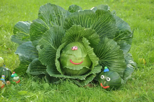 Foto: Līga Jasmane